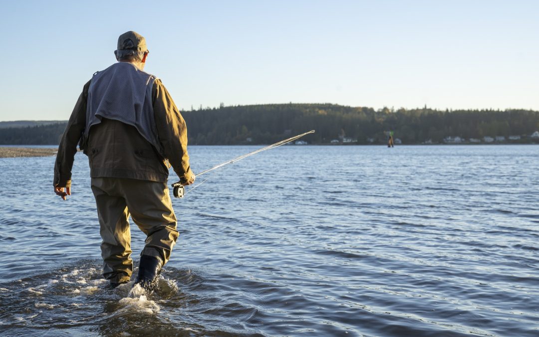 Best Saltwater Fishes You Can Catch